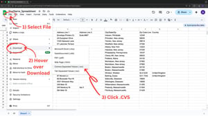 download-google-spreadsheet-cvs