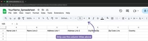 spreadsheet column titles - LCI Paper